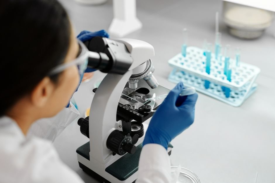 Students researching in a top universities in USA for biomedical engineering laboratory
