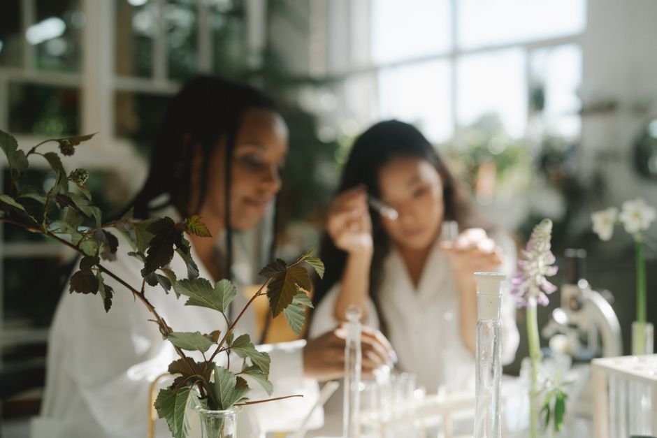 Scientists studying plants at top universities in USA for environmental science
